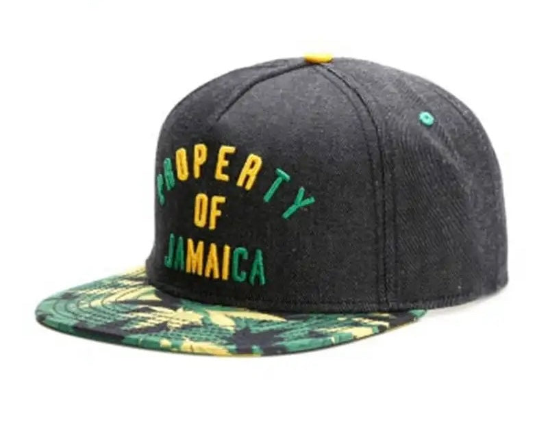 Jamaica Property Snap Back